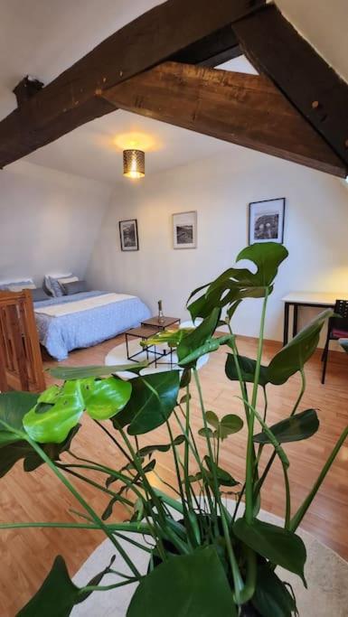 杜埃Grand Duplex Du Beffroi公寓 外观 照片